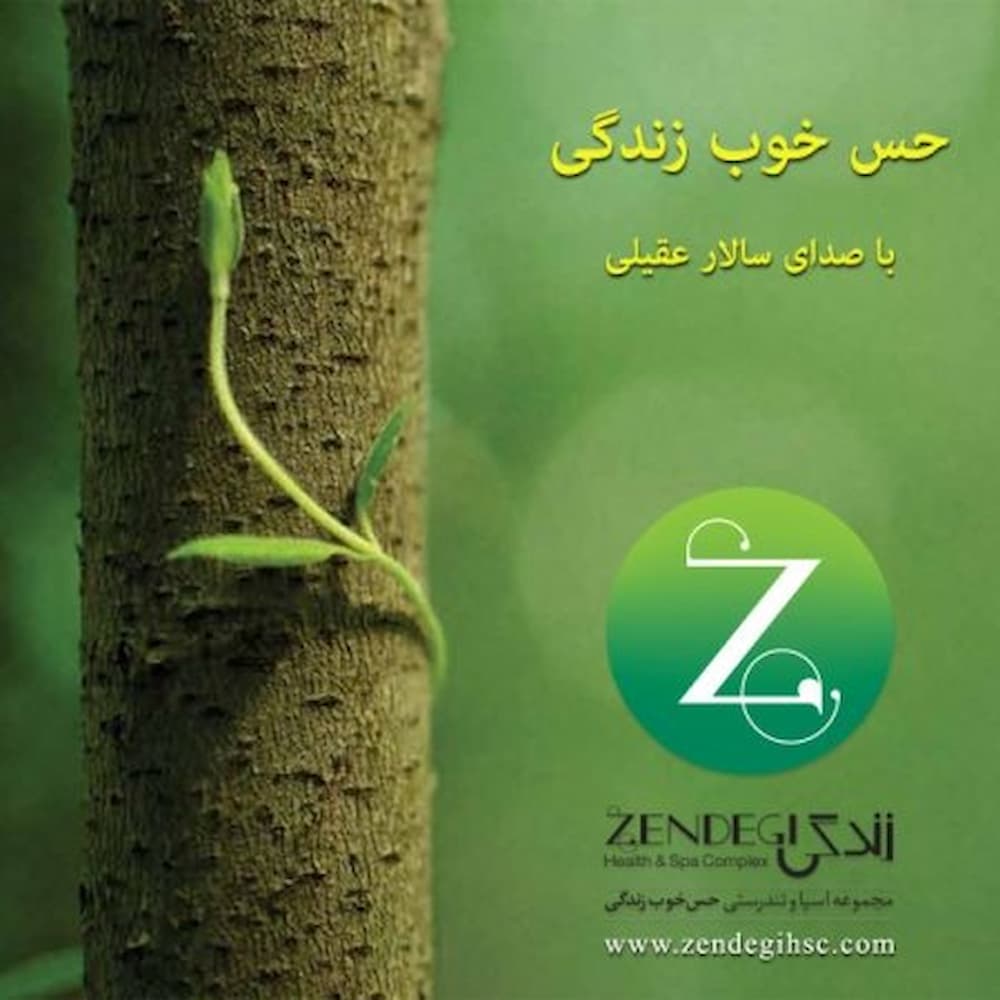 آهنگ سالار عقیلی به نام حس خوب زندگی