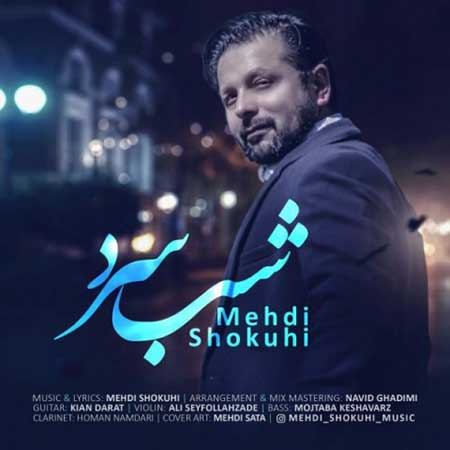 آهنگ مهدی شکوهی به نام شب سرد