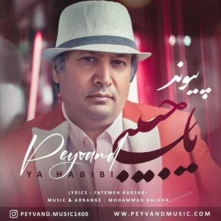 آهنگ پیوند به نام یا حبیبی