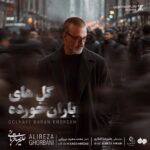 آهنگ علیرضا قربانی به نام گلهای باران خورده