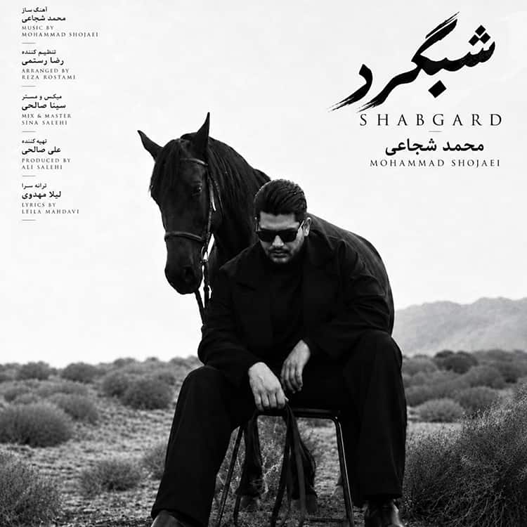 آهنگ محمد شجاعی به نام شبگرد