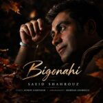 آهنگ سعید شهروز به نام بی گناهی